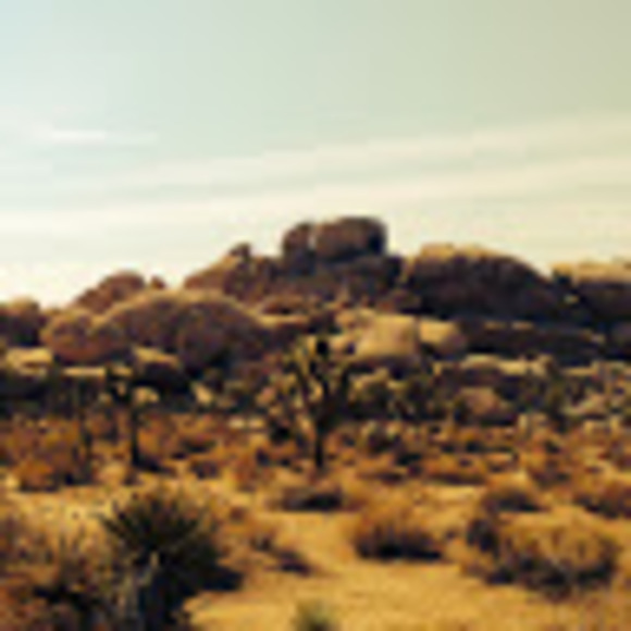 Meet your Posher, Harleena - Picture 1 of 1